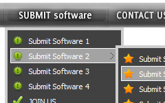 flash button multiple bitmaps Xml Template