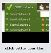 Click Button Zoom Flash