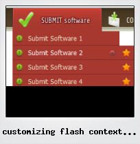 Customizing Flash Context Button With Icon