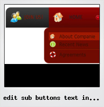 Edit Sub Buttons Text In Flash