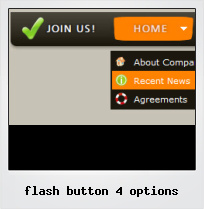 Flash Button 4 Options