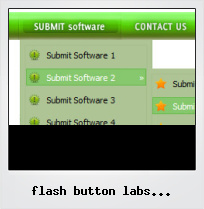 Flash Button Labs Frameset Example