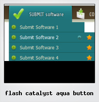 Flash Catalyst Aqua Button