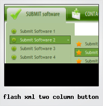 Flash Xml Two Column Button