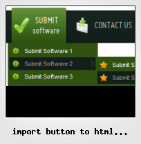 Import Button To Html From Flash