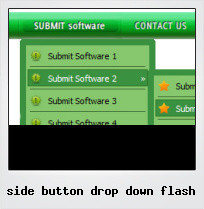 Side Button Drop Down Flash