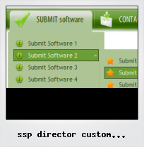 Ssp Director Custom Navigation Button